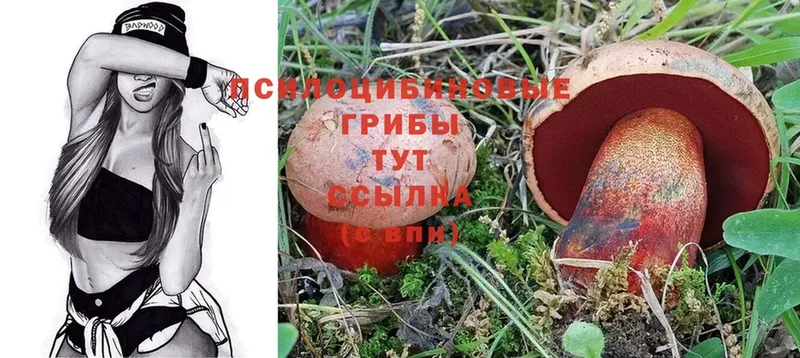 Галлюциногенные грибы MAGIC MUSHROOMS  Гремячинск 